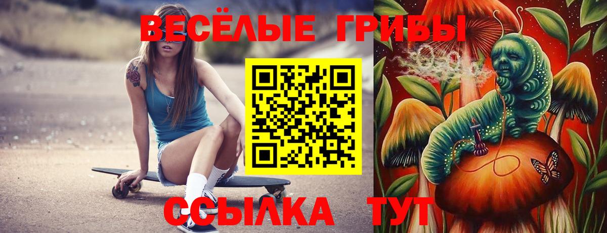 Батайск  Псилоцибиновые грибы Psilocybe  Вход с VPN 